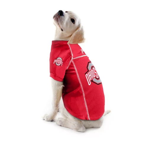 a puppy sits and wears a red ohio state jersey on a white background
