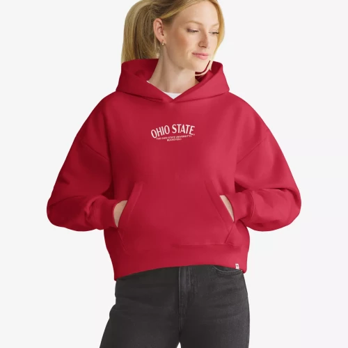 Women's hooded sweatshirt with Ohio State small center chest, under in smaller letters 