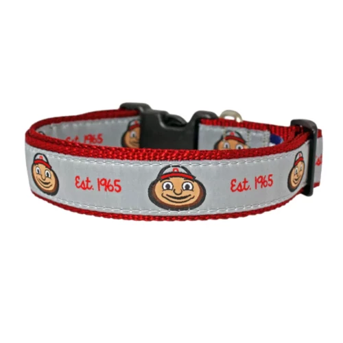 brutus pet collar