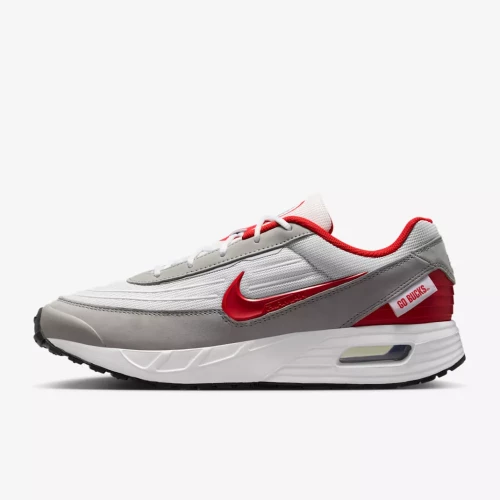nike air max shoe on a white background