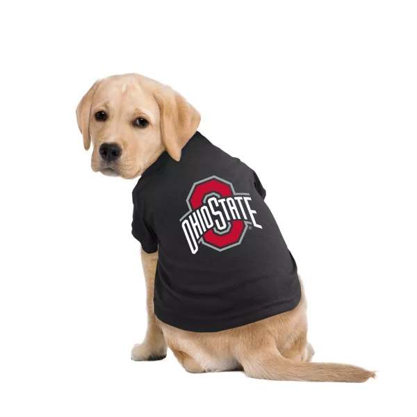a puppy with a black shirt that has an ohio state logo on it look at the camera 